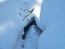 20050123151544-128.jpg