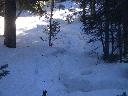 20050123152325-128.jpg