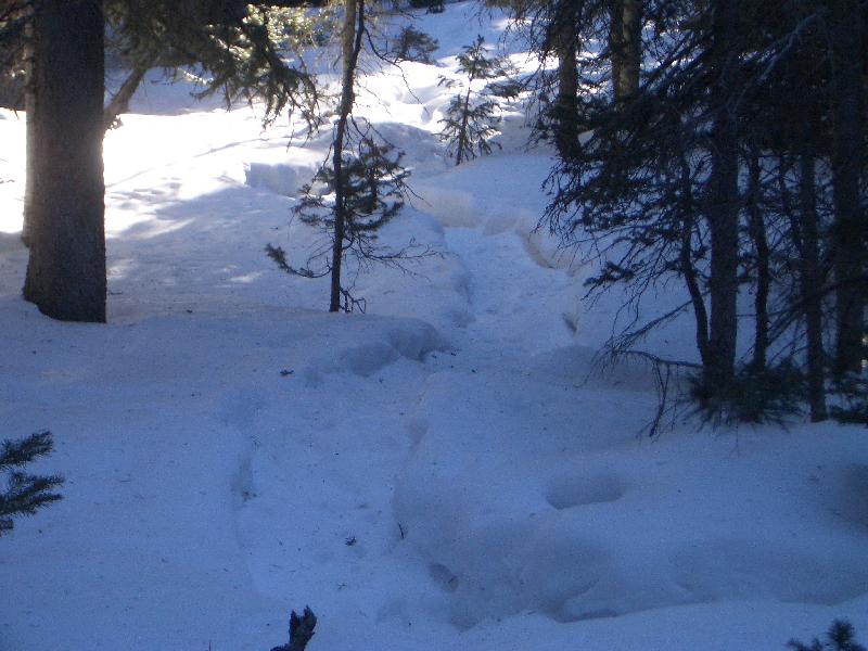 20050123152325-800.jpg