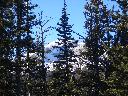 20050123152817-128.jpg