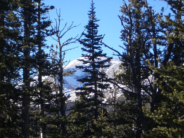20050123152817-640.jpg