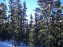 20050123152825-128.jpg
