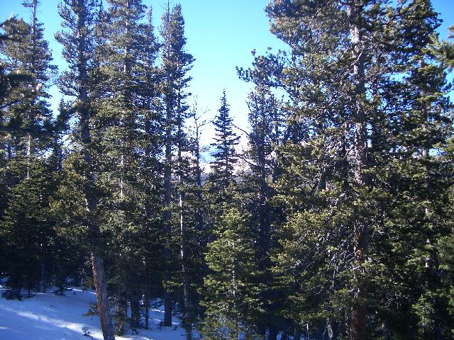 20050123152825-640.jpg