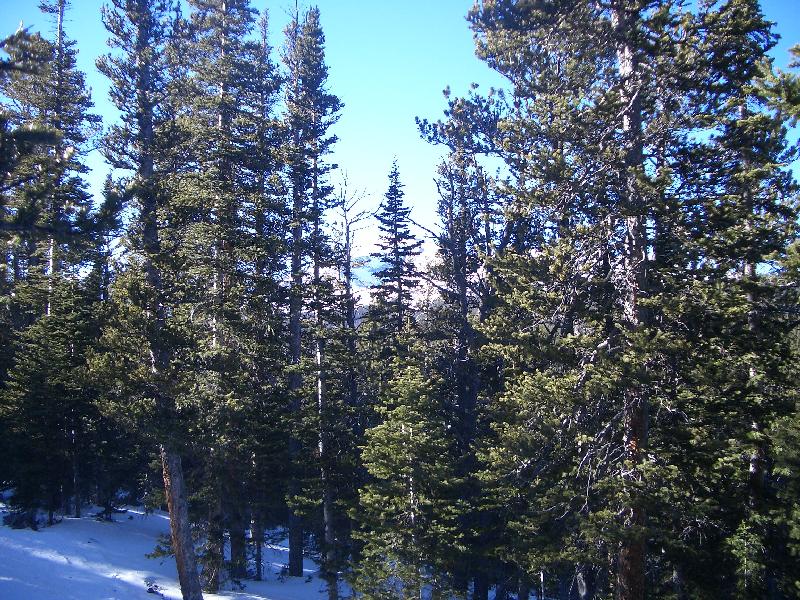 20050123152825-800.jpg