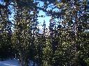 20050123152831-128.jpg