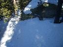 20050123152851-128.jpg