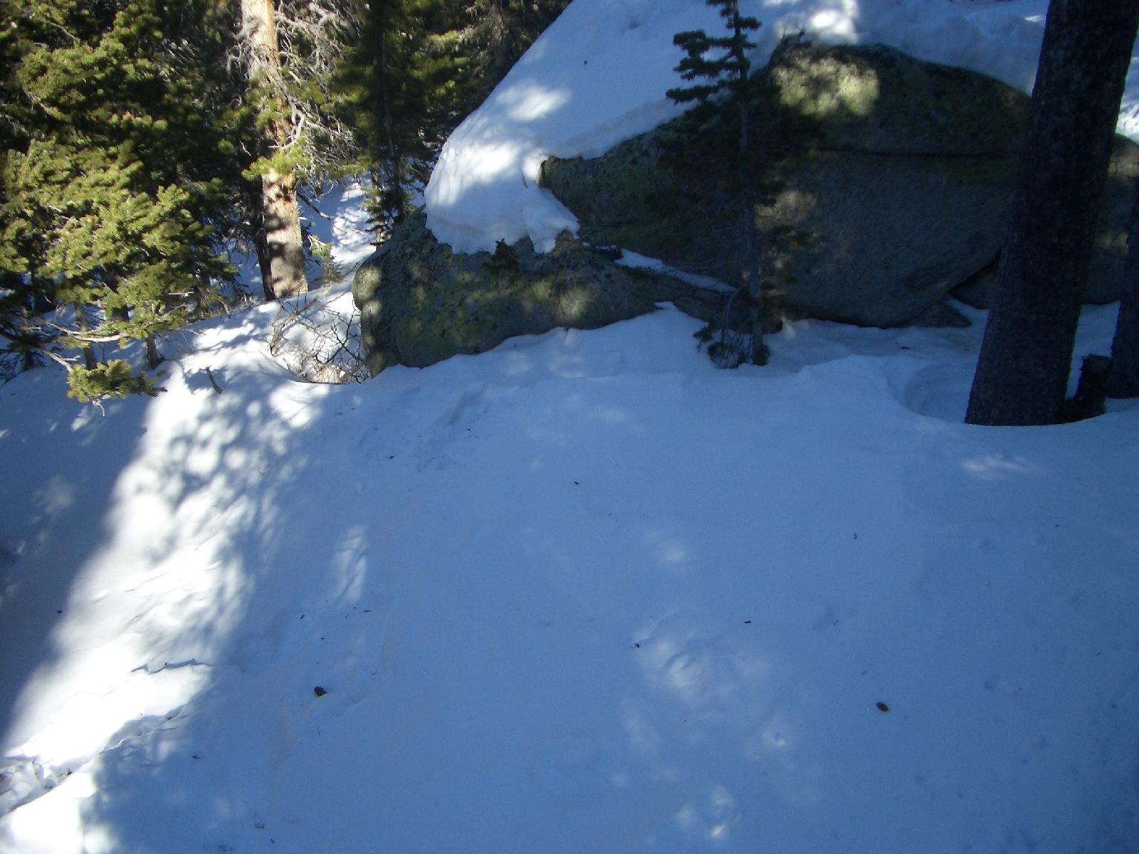 20050123152851-1600.jpg