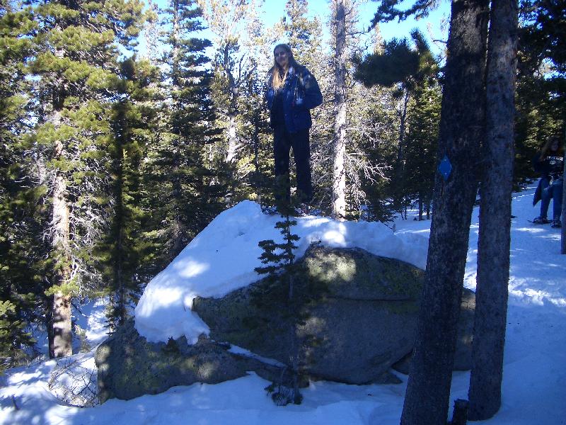 20050123152856-800.jpg