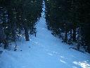 20050123153144-128.jpg
