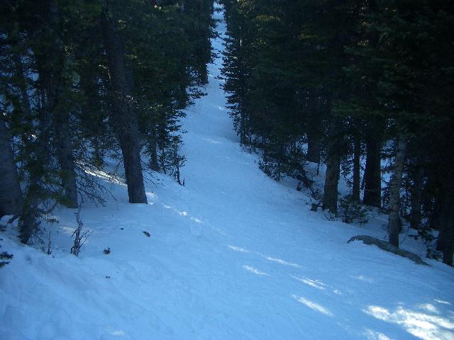 20050123153144-640.jpg