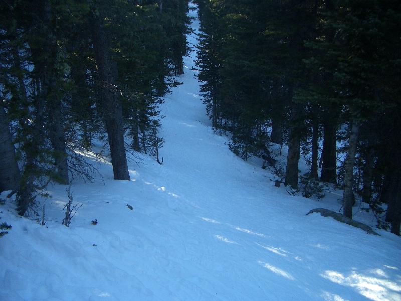20050123153144-800.jpg