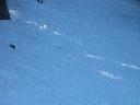 20050123153154-128.jpg