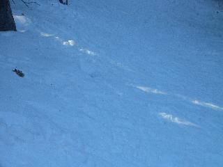 20050123153154-320.jpg