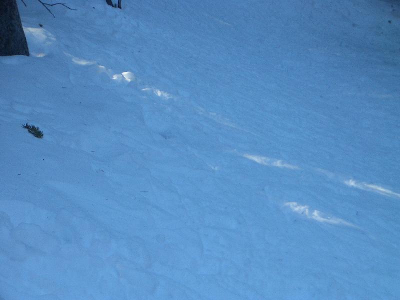 20050123153154-800.jpg