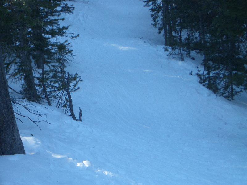 20050123153201-800.jpg