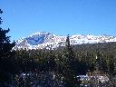 20050123154328-128.jpg