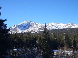 20050123154328-320.jpg