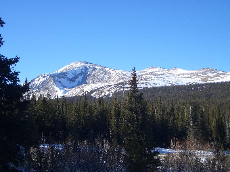 20050123154328-800.jpg