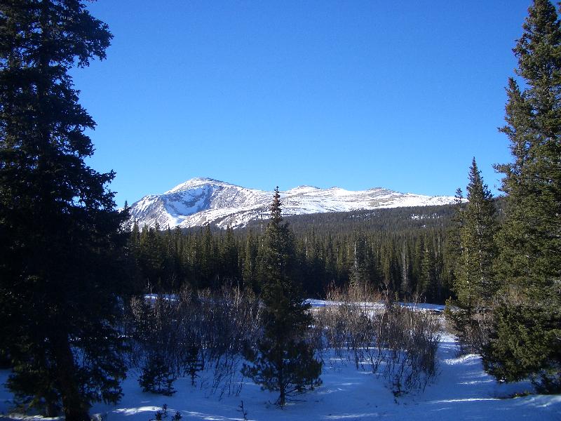20050123154336-800.jpg