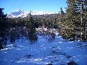 20050123154341-128.jpg