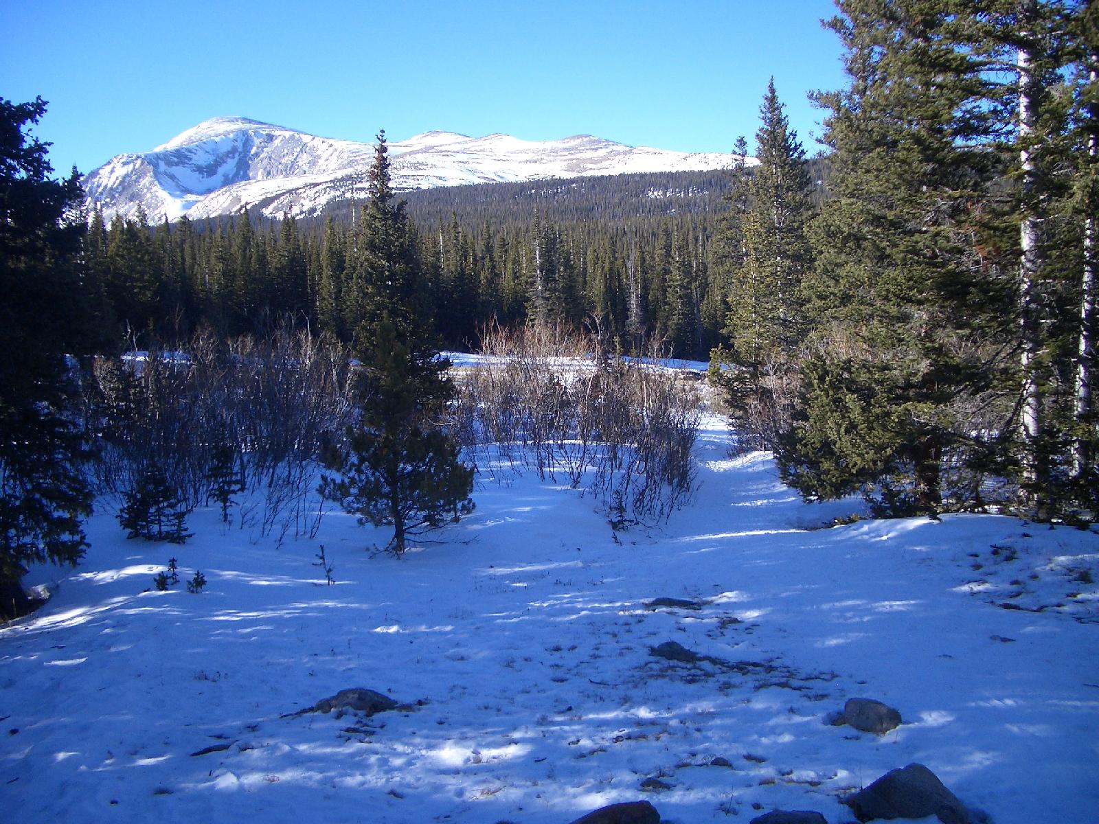 20050123154341-1600.jpg