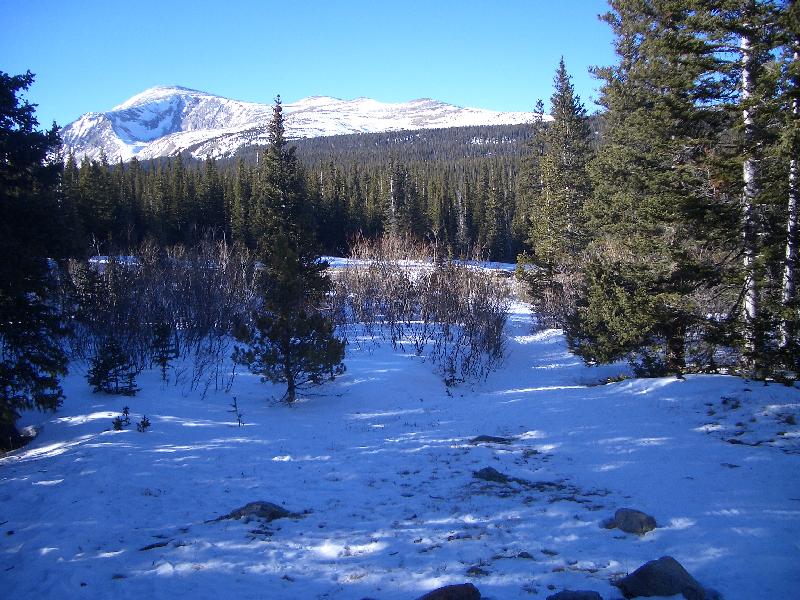 20050123154341-800.jpg