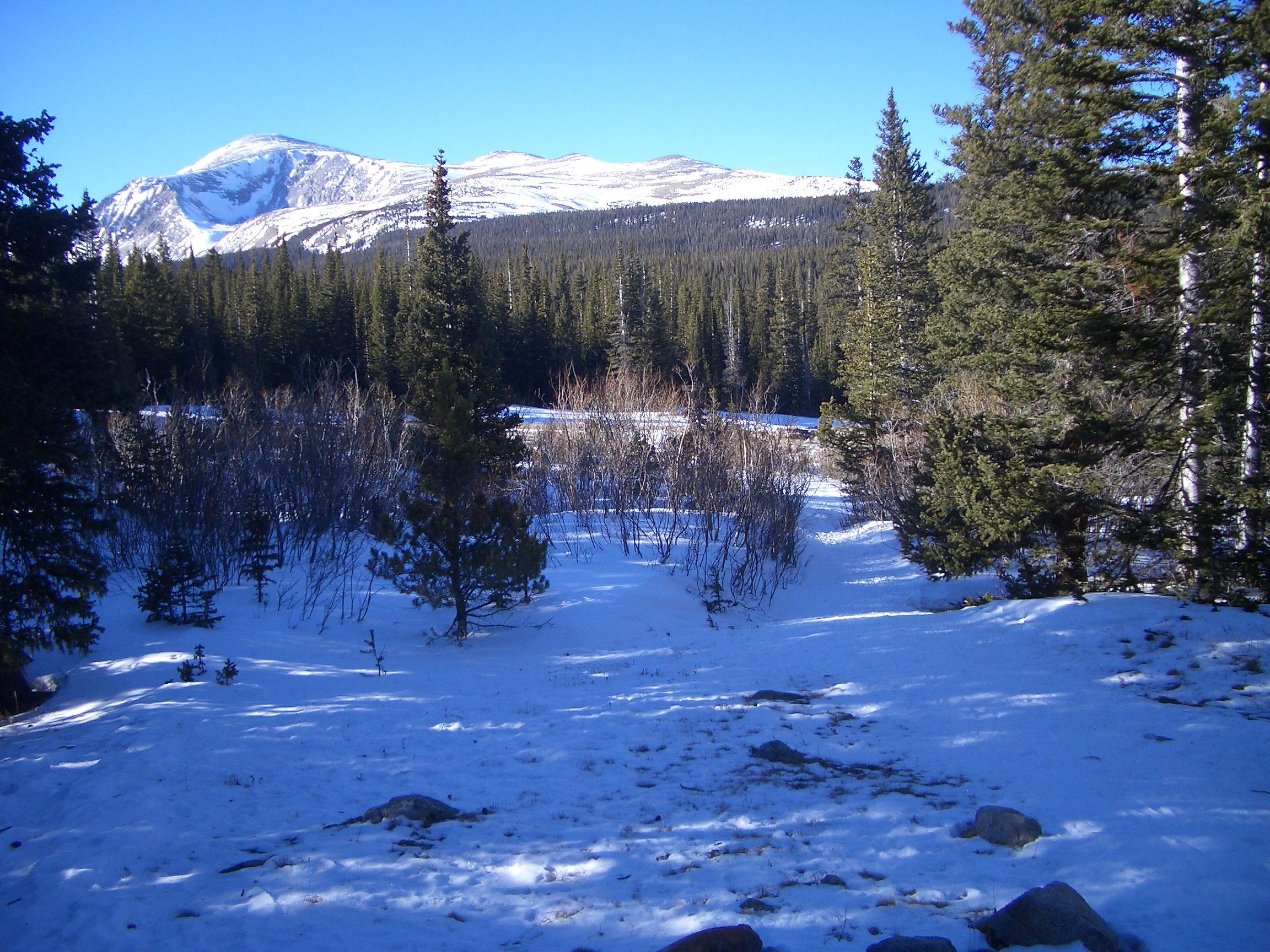 20050123154341.jpg