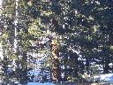 20050123154359-128.jpg