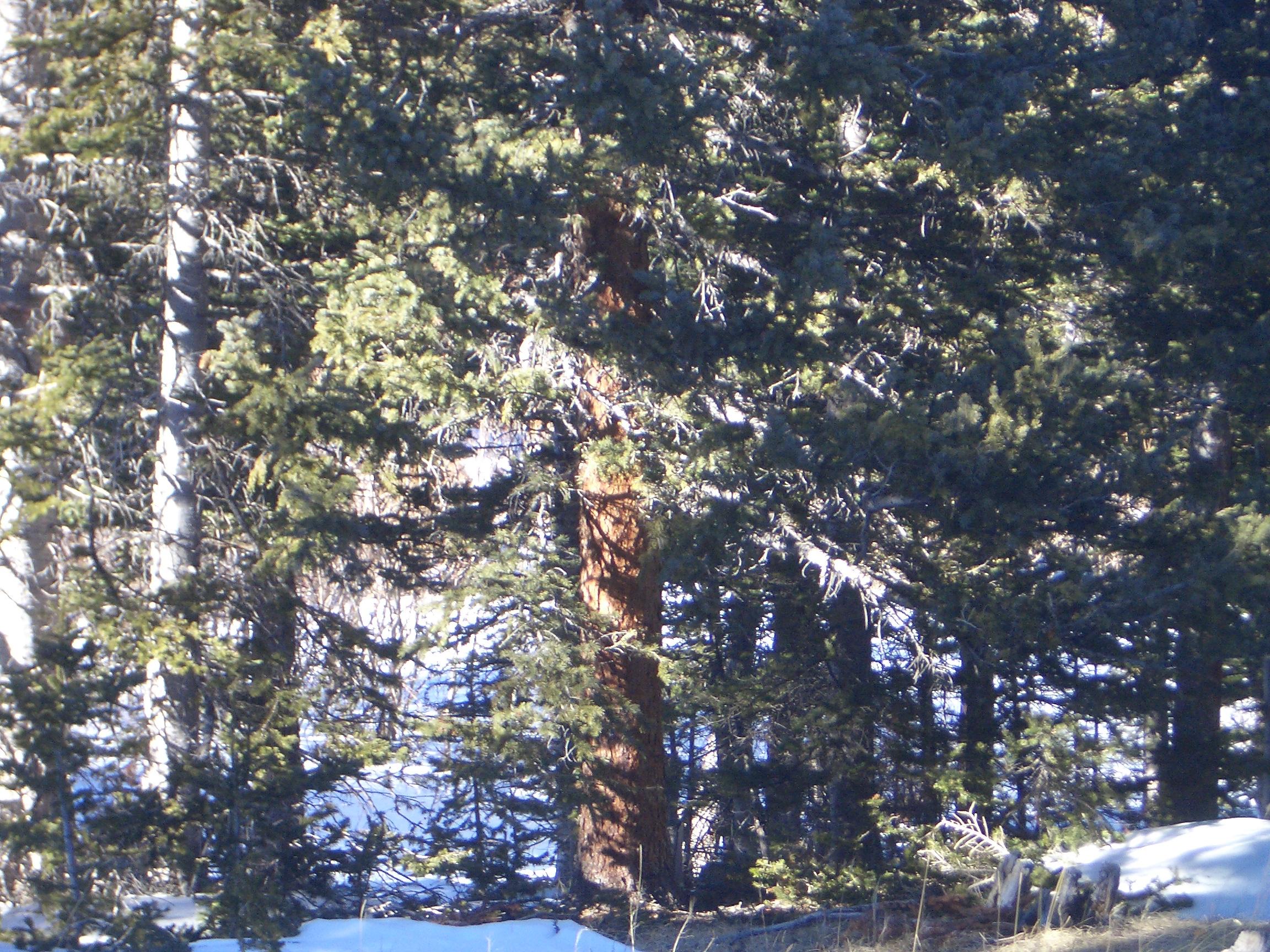 20050123154359.jpg