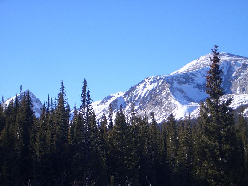 20050123154433-800.jpg