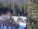 20050123154439-128.jpg