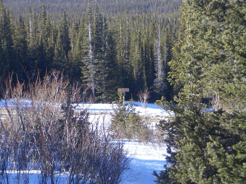 20050123154439-800.jpg
