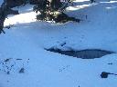 20050123155809-128.jpg