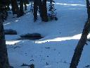 20050123155815-128.jpg