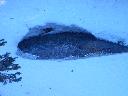 20050123160001-128.jpg