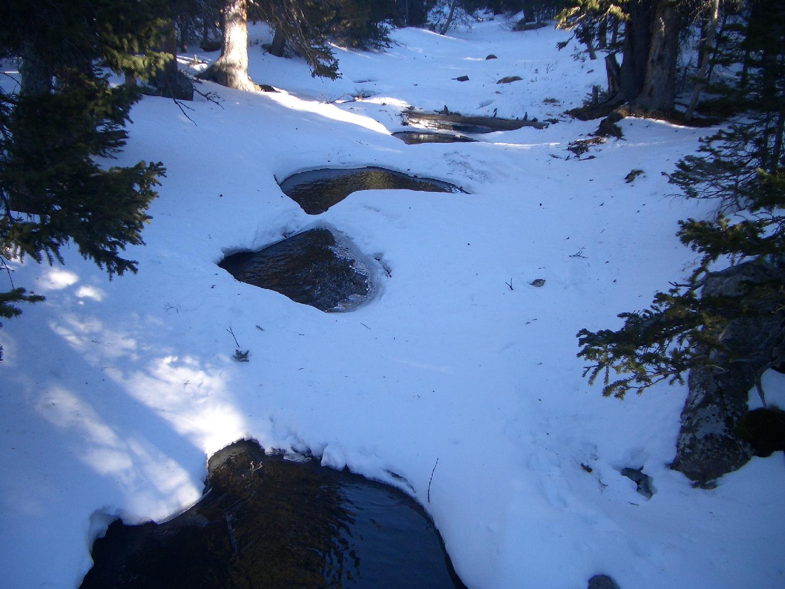 20050123160117-1600.jpg