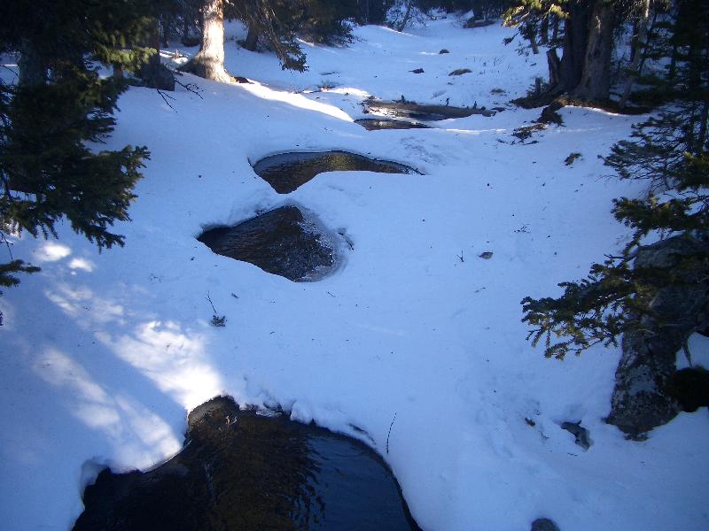 20050123160117-800.jpg