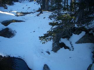 20050123160129-320.jpg