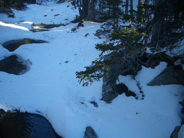 20050123160129-640.jpg