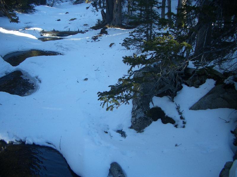 20050123160129-800.jpg
