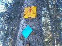 20050123160446-128.jpg