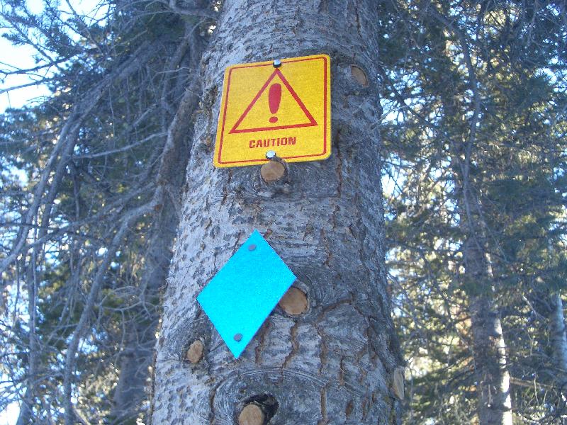 20050123160446-800.jpg