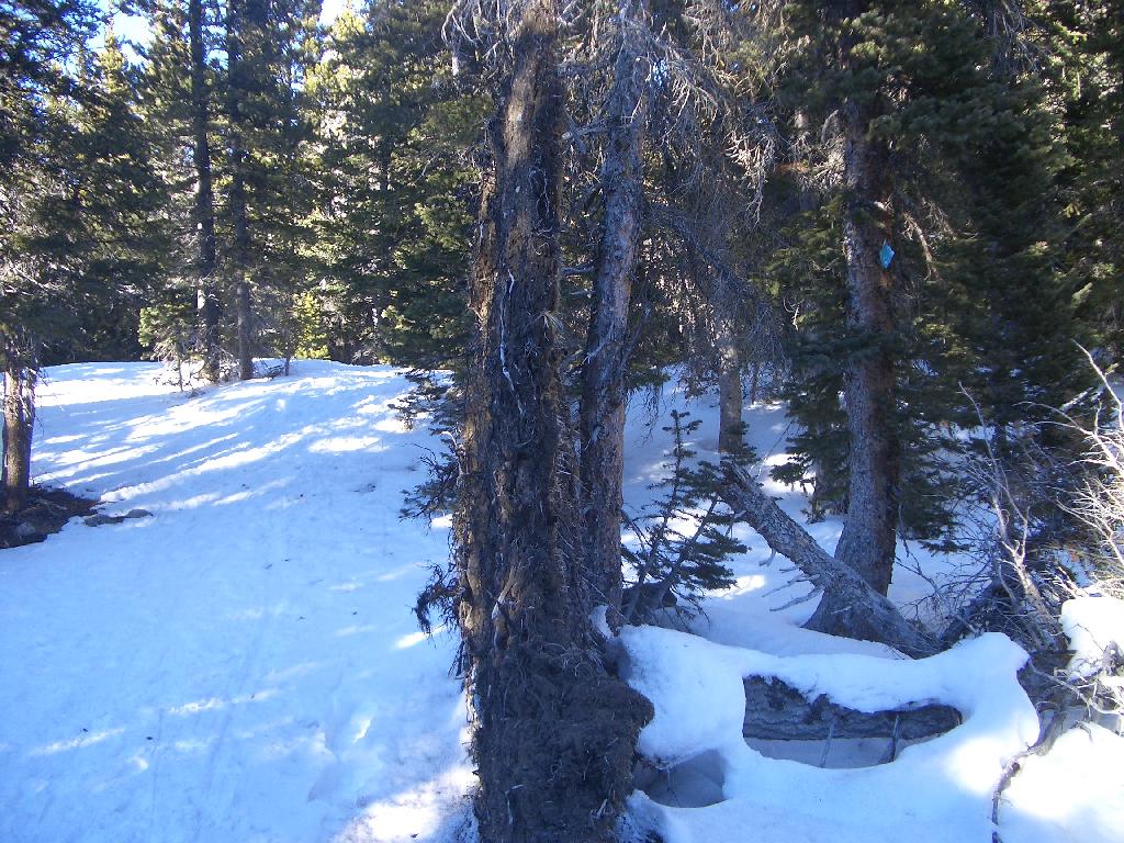 20050123160610-1024.jpg