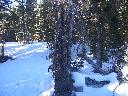 20050123160610-128.jpg