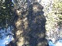 20050123160617-128.jpg