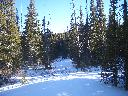 20050123161024-128.jpg