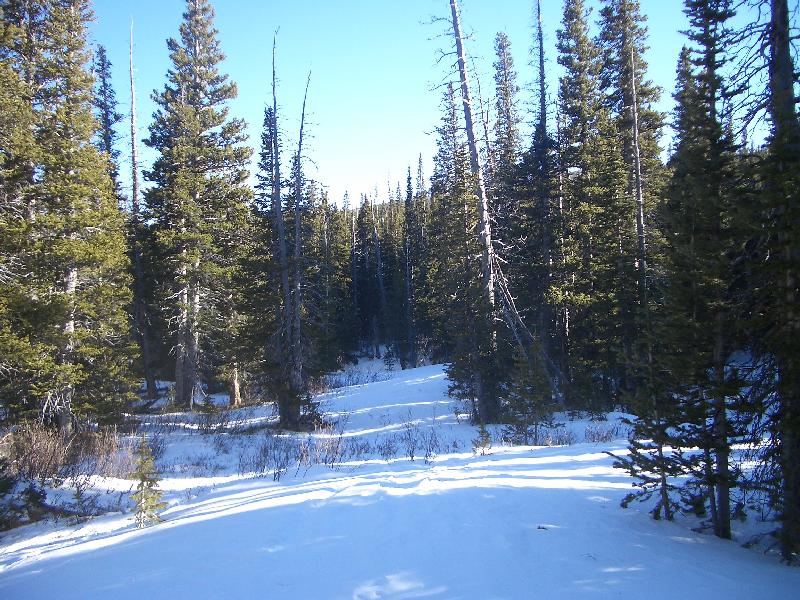 20050123161024-800.jpg