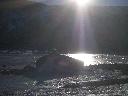 20050123170300-128.jpg