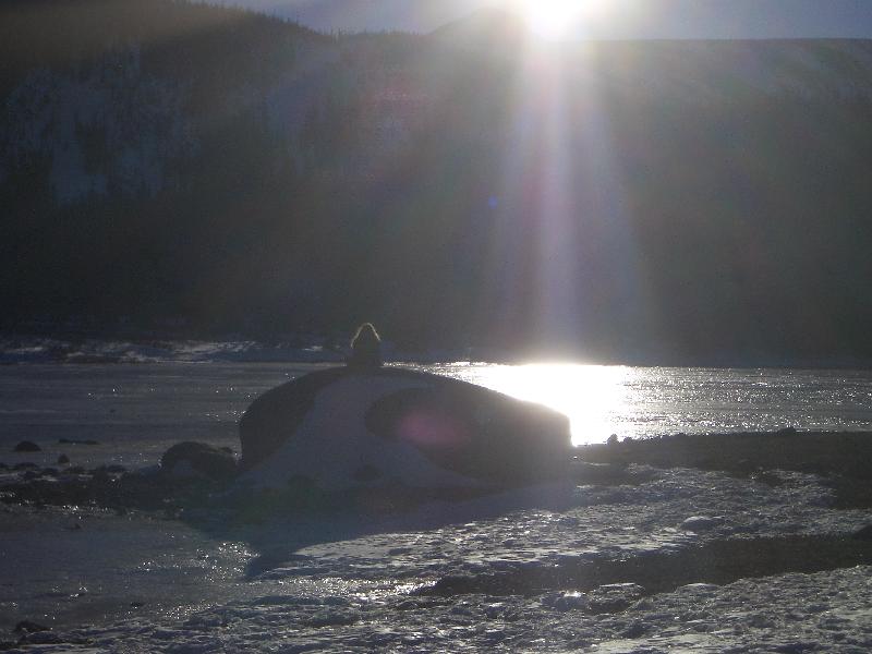 20050123170300-800.jpg