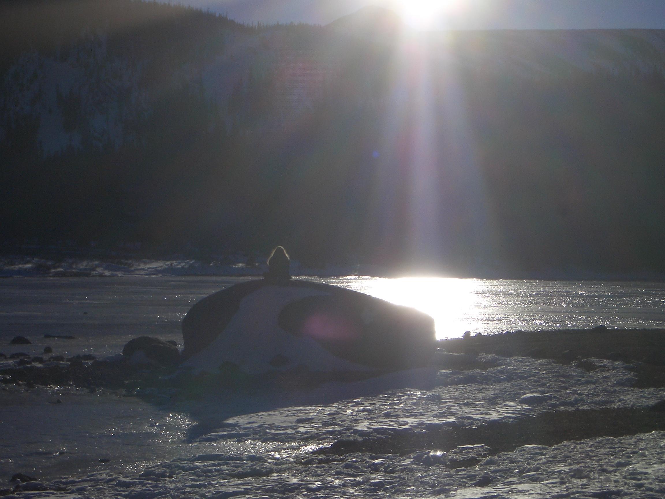 20050123170300.jpg